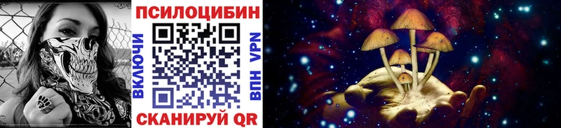 Псилоцибиновые грибы прущие грибы  где можно купить наркотик  Алапаевск 